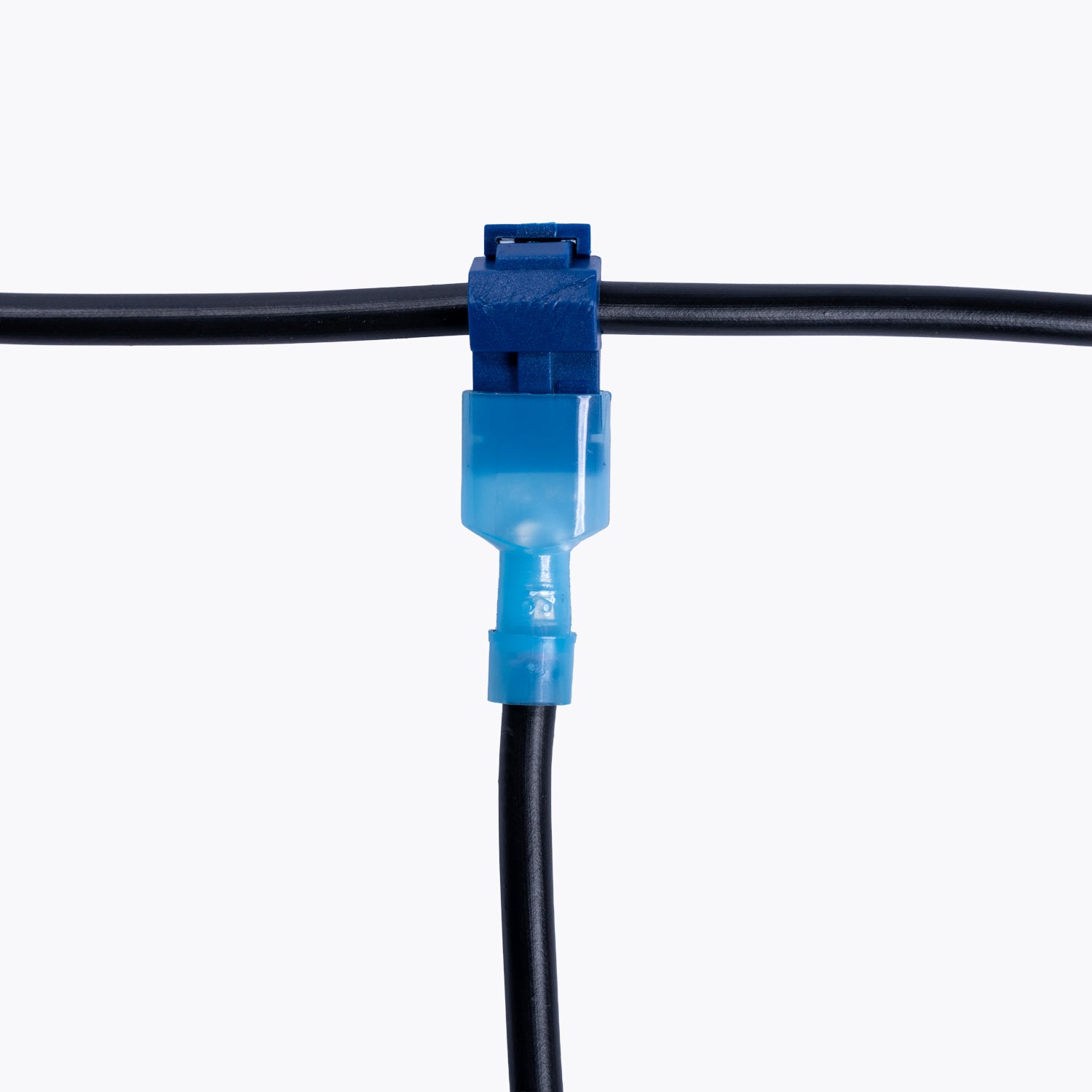 Take Off Connector 4mm Blue (6 pack) shown connecting two black cables, designed for reliable power distribution in camping lights and outdoor LED setups.